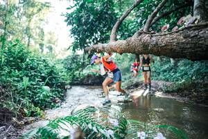 BIB: 
                            <button type="button" onclick="openModal(25438252)" class="btn btn-primary btn-sm float-right btn-popup" data-toggle="modal" data-target=".modal-high-quality">
                        <i class="fas fa-shopping-cart"></i> Add to Cart
                    </button>
                                            <button type="button" onclick="isThisMe(25438252, true)" class="btn btn-success btn-sm float-right btn-popup btn-isme hidden" data-toggle="tooltip" data-placement="bottom" title="นี่คือรูปของคุณใช่ไหม คลิกที่นี่เพื่อเอาเข้าอัลบั้ม">
                        <i class="fas fa-plus"></i> Add to album
                    </button>
                    <button type="button" onclick="isThisMe(25438252, false)" class="btn btn-warning btn-sm float-right btn-popup btn-isnotme hidden">
                        <i class="fas fa-ban"></i> Remove from album
                    </button>